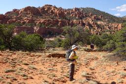 Wandering below the hoodoos [sun aug 31 15:12:13 mdt 2025]